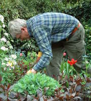 jardin-jardinier-homme