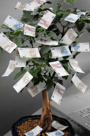 arbre-billet-argent-euros