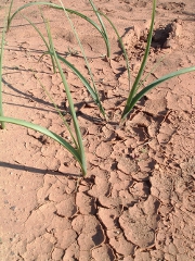 Comparez les assurances pertes d'exploitation