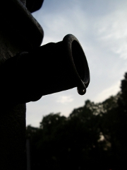 L'aide à l'assurance récolte