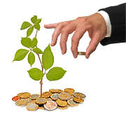 homme-main-argent-pieces-euros-plante