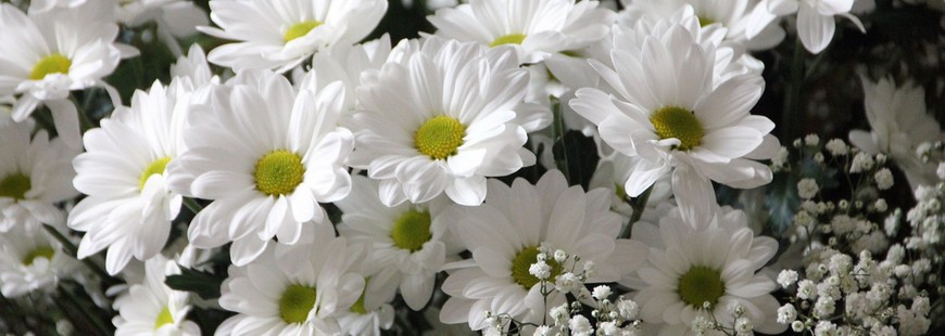 fleurs-obseques-deces