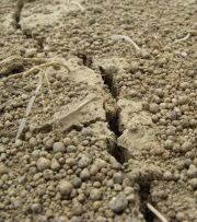 Garantie décennale et normes parasismiques