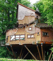 maison-bois-foret-arbres