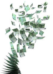 Quelle assurance professionnelle face aux pertes d'exploitation ?