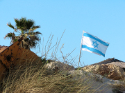 Assurance-crédit : Coface autorisé en Israël