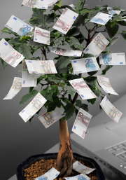 Enquête : les fonctionnaires inquiets pour leur retraite