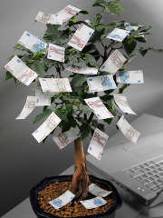 arbre-billets-euros-argent